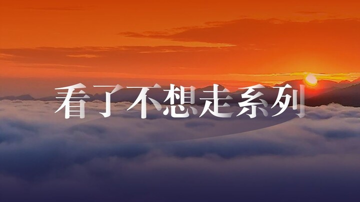 Thấy phong cảnh đẹp là bước đi không nổi luôn