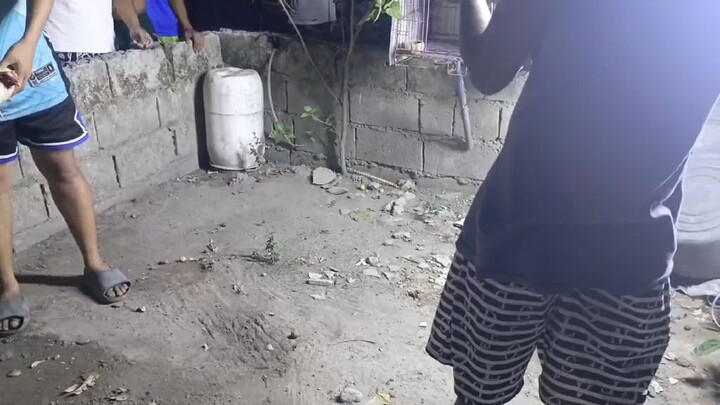 nalaban din bantam