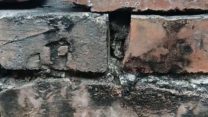 كنت في الأصل أحب الذهاب إلى الحمّام.