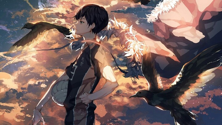 [Anime] [Haikyuu!!] The Cuts that Make You Love Volleyball