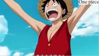 Vựa mối mũ rơm thật biết thế nào là thuyền trưởng #Onepiece