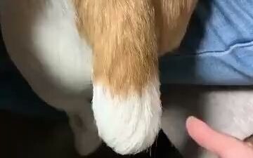 There are still aftershocks left in the tail