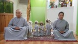 Phật pháp nhiệm mầu 2021, bốn bé chó tuyệt vời dể thương kính mừng đại lễ Phật đản PL 2565, DL 2021