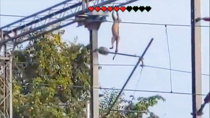 ชาเลนจ์กลั้นหัวเราะ!! ซิ่วเตี่ยนเนี่ยเหรอพี่ลิง??