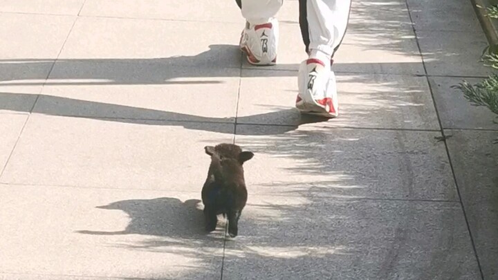 While taking a stroll, she turned around and walked off with that handsome guy.
