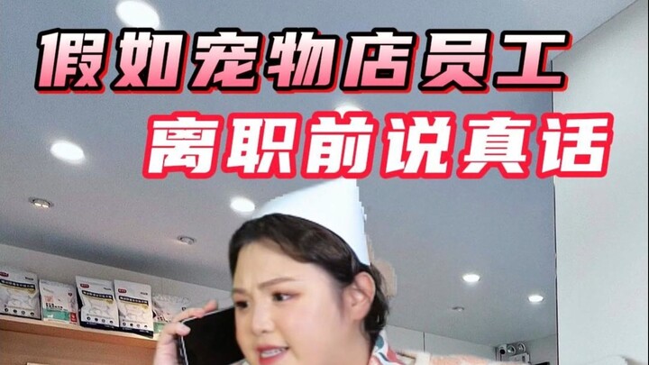 Kucing muntah bola bulu? Jangan panik! Ini dia cara jitu agar kamu nggak terjebak “pajak IQ”!