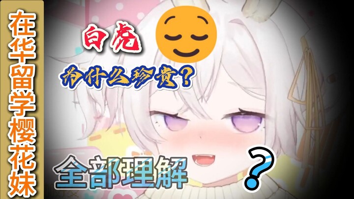 在华留学樱花妹对：白虎为什么珍贵？全部理解
