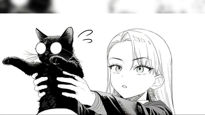 kiayaahn Tal vez Harry tuvo un pequeño percance con la poción multijugos... 🐱 #memes #anime #humor