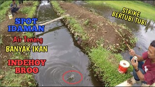 SIAPA YANG GAK PENGEN SPOT KAYAK GINI BROO? BANYAK IKANNYA, ENAK MANCINGNYA.. INDEHOYYY!!