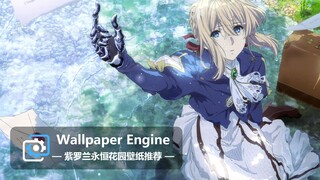 【Wallpaper Engine】壁纸推荐 | 紫罗兰永恒花园系列第一期