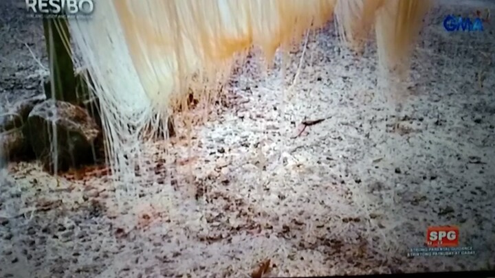 Resibo Noodles Emil Sumangil