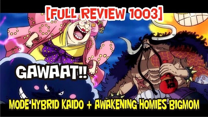 [FULL REVIEW 1003] BIGMOM AWAKENING FULL HOMIES MENYUSUL MODE HYBRID KAIDO !?