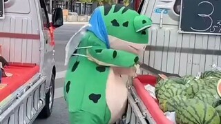 Dikira si kodok cowok ternyata 🤯