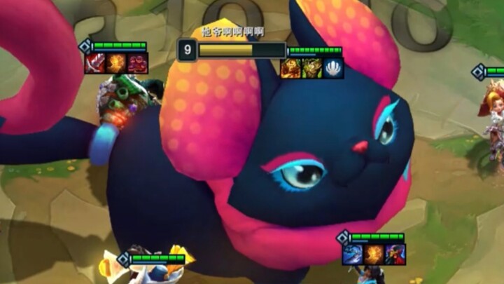 วันนี้เป็นแมวน้อยสุดน่ารัก!