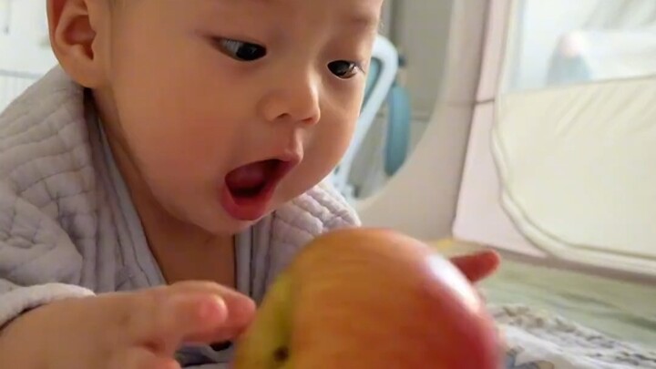 How tempting is an apple to a six-month-old baby? They totter and stumble all the way over, yet not 