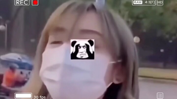 [Seasonal Rainforest ovo] Updated! Come check it out now!