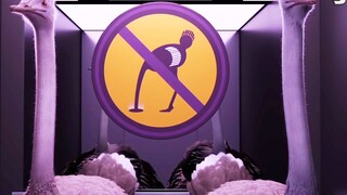 The ostrich president announced that all ostriches were not allowed to work hard, and the ostrich wo