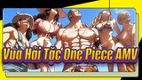 Vua Hải Tặc One Piece AMV