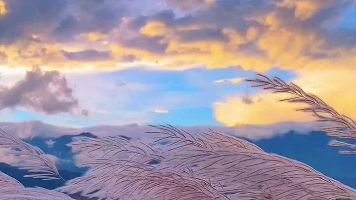 "The vast mountains and rivers, the hustle and bustle of the world, are not as beautiful as this mom