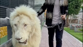 《豪无人性的一集》