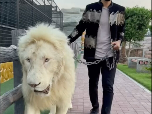 Tập phim vô nhân tính nhất