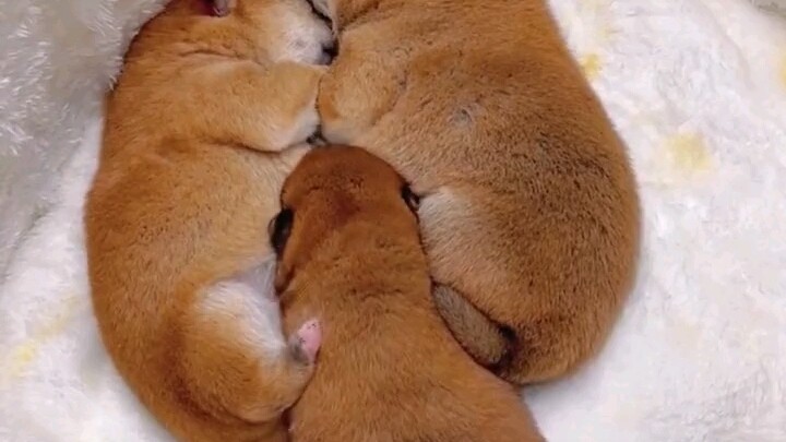 Don't hold me so tight, I can't squeeze in.