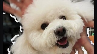 金智秀本人看了都会大为震惊的表情管理！