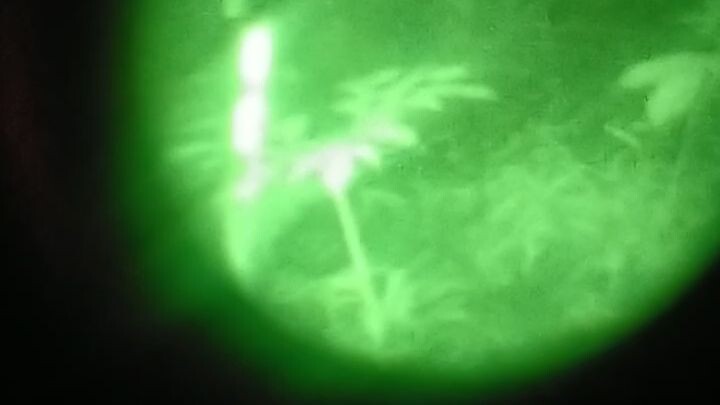 night vision