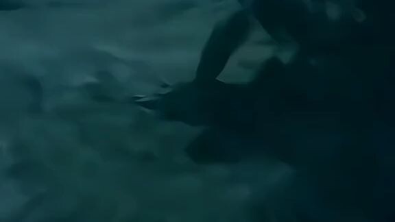 kawai...  | Inosuke💞