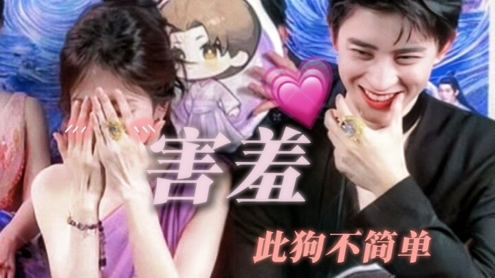 白鹿X敖瑞鹏｜“训狗师”也会被帅狗狗整害羞呐…一些直播细节糖，包甜的