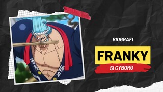 BIOGRAFI FRANKY | ONE PIECE