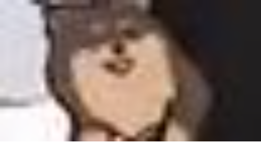 x2mate.com-EVERYTIME THE BEAT DROP- BTS TIKTOK ANIMATION BY @LEVIINFOGE(360p) (1