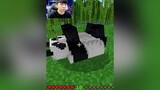 Wait... Panda ?? 🐼 Nó ăn cái gì vậy mọi người ơi 🤯 vinhmc minecraft