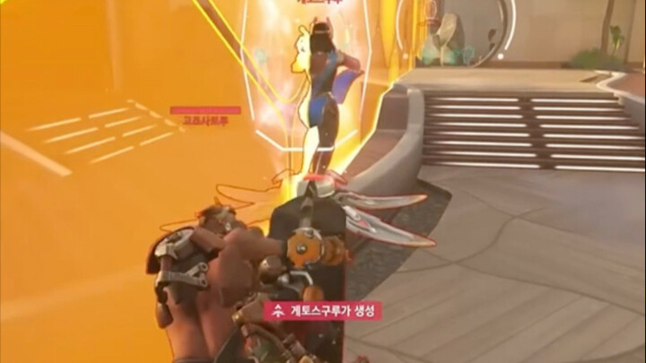 Pee and poop anywhere