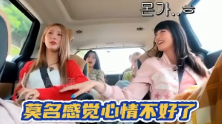 Girl: Using polite language with each other feels like subtly mocking one another, hahahaha!