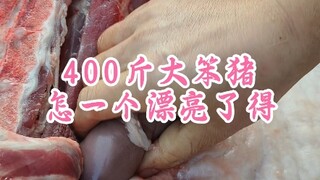 400斤大笨猪，怎一个漂亮了得