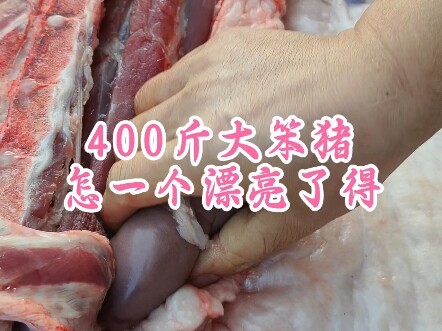 Một con lợn nặng 400 pound, đẹp đến mức nào?