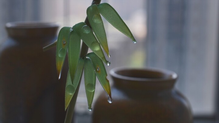 Bamboo Leaf Hairpin Tutorial (Yep, another stock clip from a water-themed video)