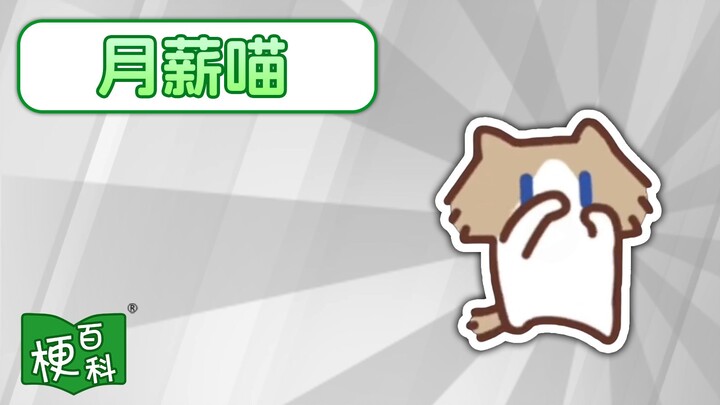 [Internet Slang Encyclopedia] What’s “monthly salary meow”? How did this “smell-venting dance” come 