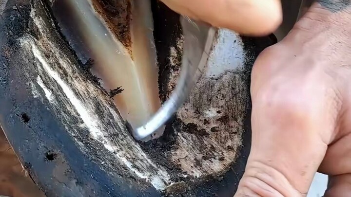 Chữa móng ngựa xả stress