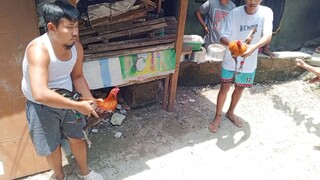 Aug 3 Gold vs Buyugin (mananalo na sana kaso..)