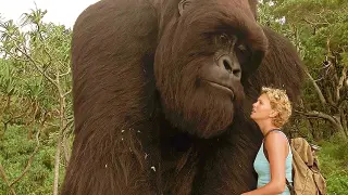 Strange! She Raises A Big Gorilla As Her Pet But Then...