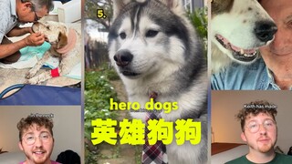 2024 Hero Dogs 🦸‍♂️🦸‍♂️🦸‍♂️