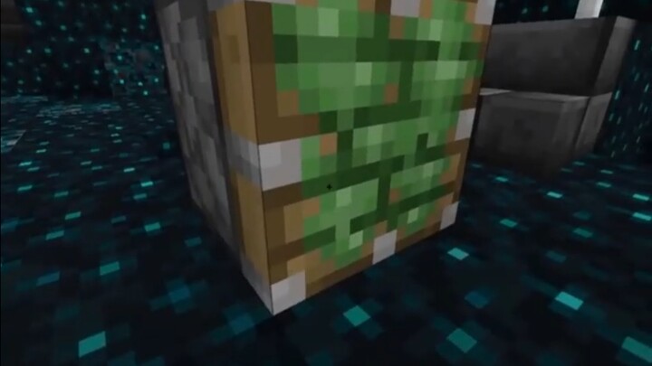 The Guardian: Bu Hao! 😭