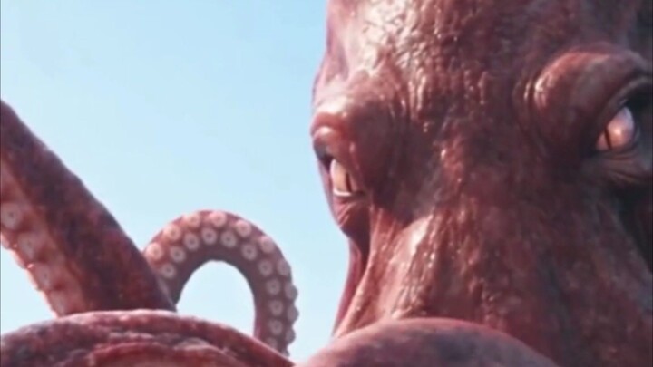 The Kraken Took My Groom