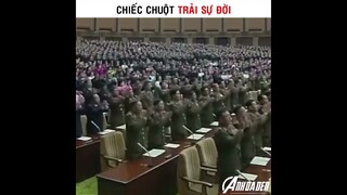 Chiếc Chuột Trải Sự Đời