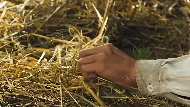 ชายคนหนึ่งขึ้นเขื่อนปลูกต้นไม้มานานสามปี แต่ต้นกล้าที่เขาอุตส่าห์ฟูมฟักดูแลกลับถูกถอนออกไปทั้งหมด
