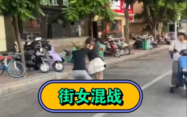 人间清醒实验室-街女混战
