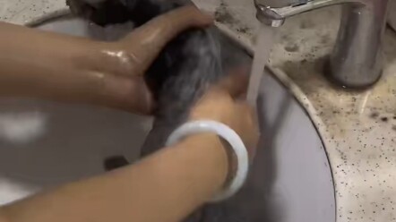 Tôi cứ tưởng nó là mèo giống thuần chủng cơ, may mà tôi ra tay đúng lúc, không ngờ nó vừa bệnh, vừa 