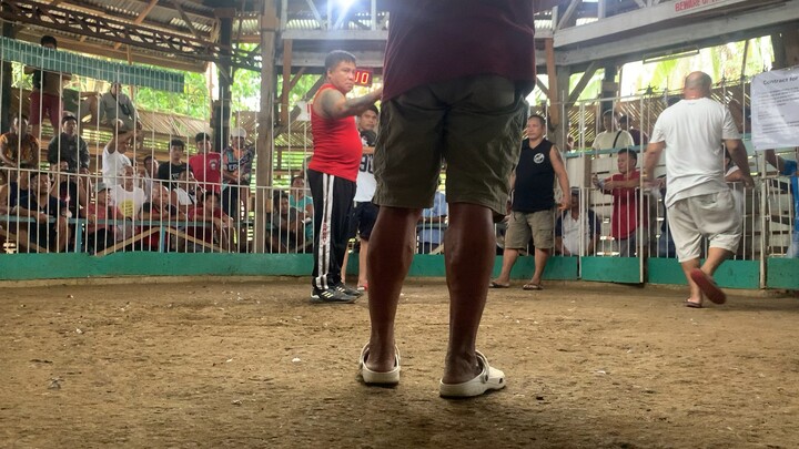 2 fight maribojoc arena bohol